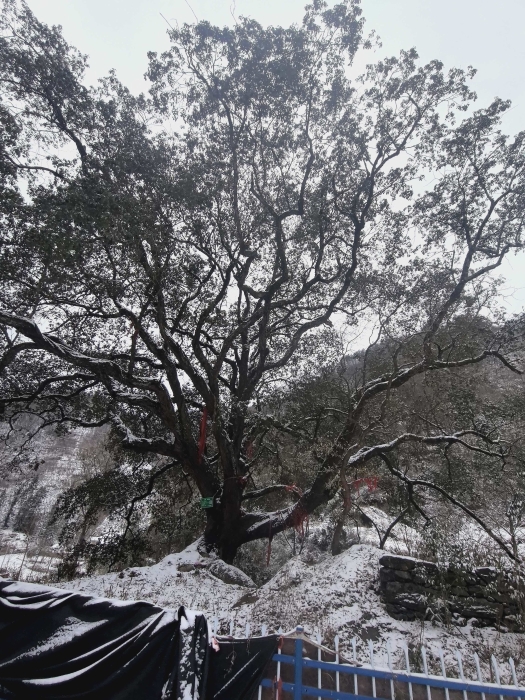 微信图片_20260122150557_32_2